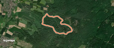 Blaues Eichenblatt, Rundwanderweg Albstadt (Wanderparkplatz Wehmig)
