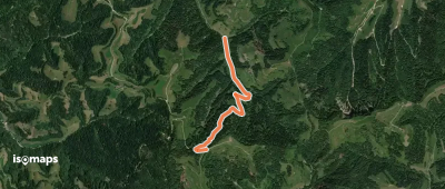 Lushüttenalp - Riedbad