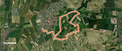 Nordic Walking Zornheim Nr. 2