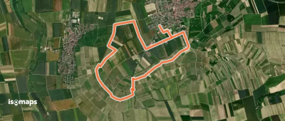 Nordic Walking Zornheim Nr. 3