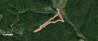 Ortswanderweg Partenstein 5