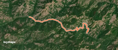 Iron Bear Trail