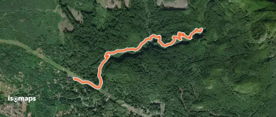 Woody Trail