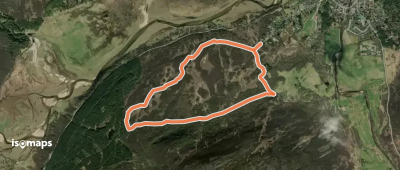 Morrone Circular