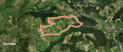 Altdorf 9