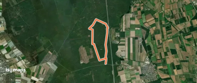 Rundwanderweg Lampertheim Wildbahn 6: Rehschneisen-Weg