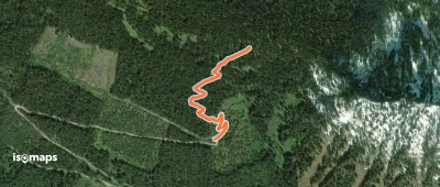 Irving Pass Trail