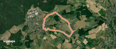 Blauer Laubbaum, Rundwanderweg Geiselbach