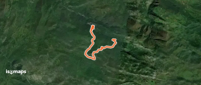Orandi