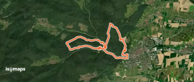 Bad Bergzabern: Tabernae-Montanus-Weg