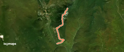 Webster Cliff Trail