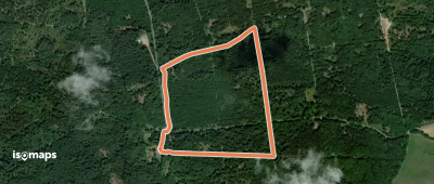 Rundwanderweg Michelstadt Kastell Hainhaus 1: Erlen-Weg