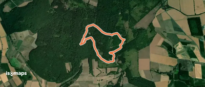 Rundwanderweg Dransfeld 1