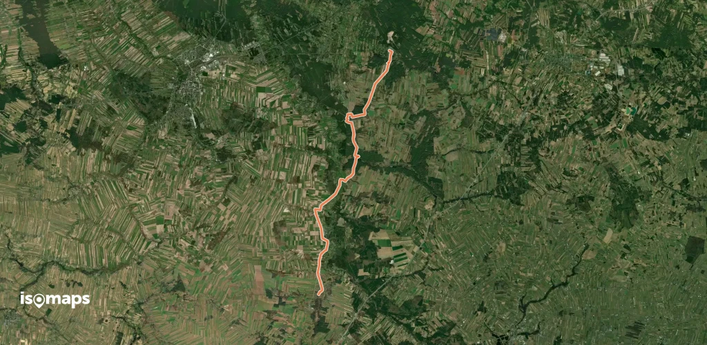 Puszcza Mariańska - Kurzeszyn