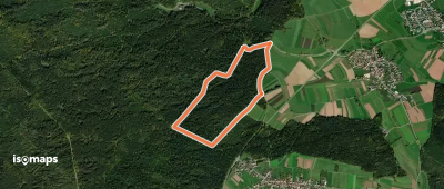 Rundweg Tanne (grün)