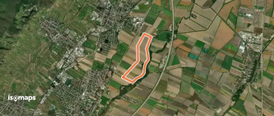 Pro Consult Runde (Guntramsdorf)