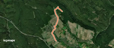 Ortswanderweg Bischbrunn 1