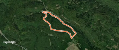 Schwarzer Fuchs, Rundwanderweg Weihersgrund am Sylvan