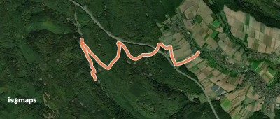 Ortswanderweg Bischbrunn 5