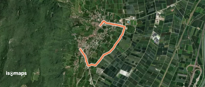 Choleraweg