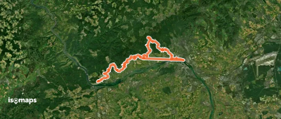 Rheinsteig (Rheingau)