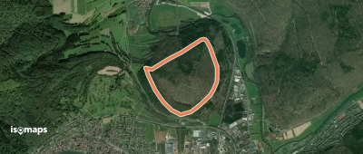 Blaues Eichenblatt, Zollberg