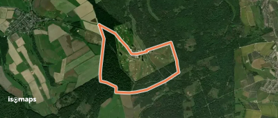 Limesrundweg Georgenthal