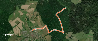 Ortswanderweg Wiesen 1