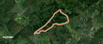Landsgraben: Eichenblatt