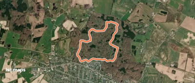Sporet i Tersløse Skov