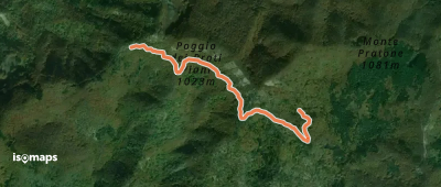 OSM Route 5908971