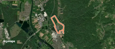 Blauer Laubbaum, Rundwanderweg Kleinostheim - Waldstadt