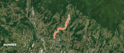 Sentiero n.11 "Colline capannoresi"