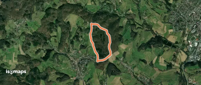 Rundwanderweg Mörlenbach Waldsee 3: Leimertsberg-Frechtweg
