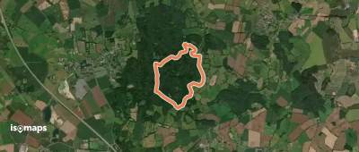Wanderroute 4: Reh, Brekendorfer Forst