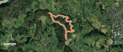 Rundwanderweg Mörlenbach Waldsee 4: Taschengruben-Weg
