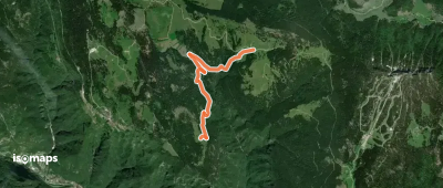 Malga Camporosà – Contrà Bisele di Sotto – Ponte Rossato – Malga Crojer
