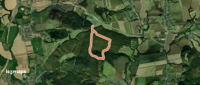 Orechový les