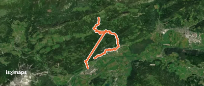 Wanderweg 295