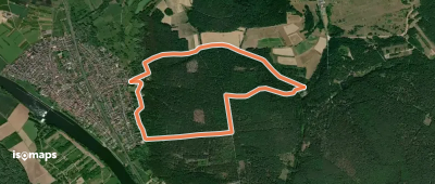 Roter Hase, Rundwanderweg Obernauer Wald