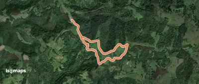 Chemin des Palombières