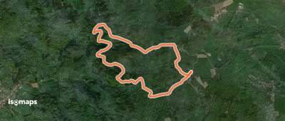 Rundwanderweg Schannenbach 1: Aspenforst-Weg