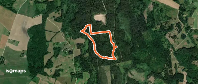 Viti järve matkarada