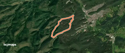 Stiller Wald-Tour / Luchs-Pfad