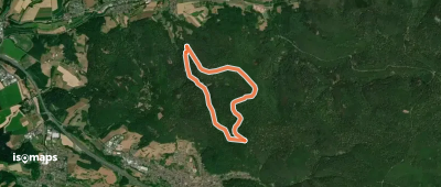 Nordic Walking 2 Rot Laufach