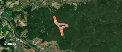 Nordic Walking 1 Blau Laufach