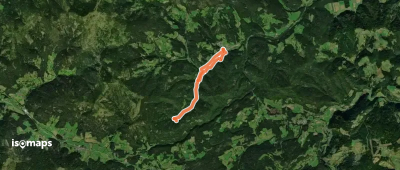 Waldweg