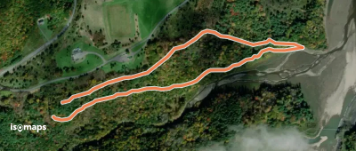 Orange trail