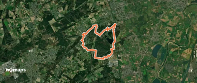 Bergerven Gele zeshoek