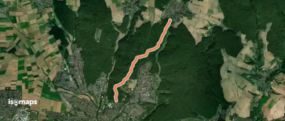 Schweinfurt - Fichtenbusch
